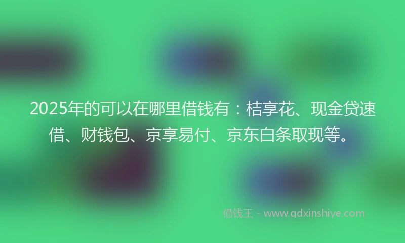 2025年的可以在哪里借钱有：桔享花、现金贷速借、财钱包、京享易付、京东白条取现等。