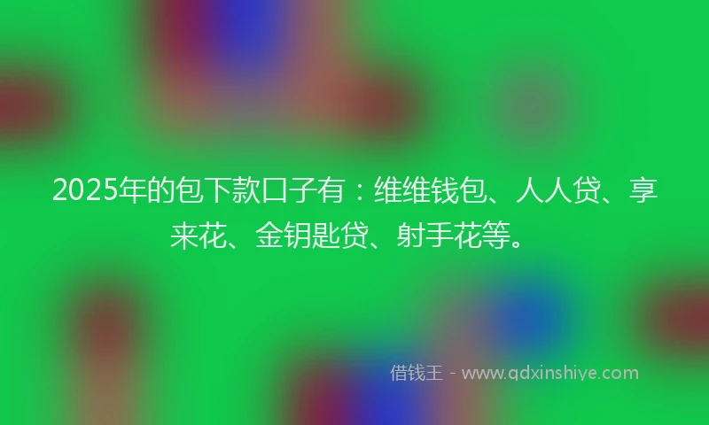 2025年的包下款口子有：维维钱包、人人贷、享来花、金钥匙贷、射手花等。