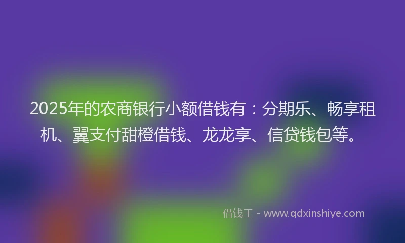 2025年的农商银行小额借钱有：分期乐、畅享租机、翼支付甜橙借钱、龙龙享、信贷钱包等。