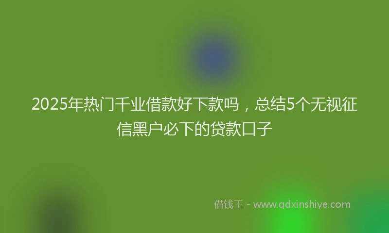2025年热门千业借款好下款吗,总结5个无视征信黑户必下的贷款口子