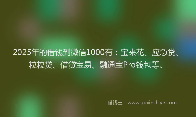 2025年的借钱到微信1000有：宝来花、应急贷、粒粒贷、借贷宝易、融通宝Pro钱包等。