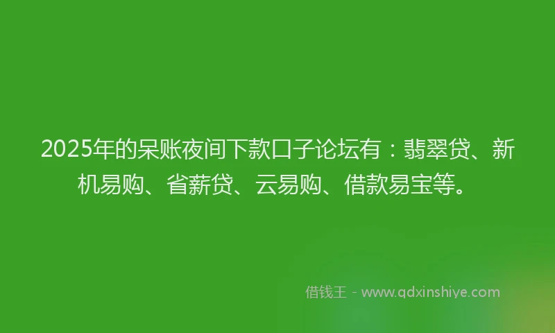 2025年的呆账夜间下款口子论坛有：翡翠贷、新机易购、省薪贷、云易购、借款易宝等。