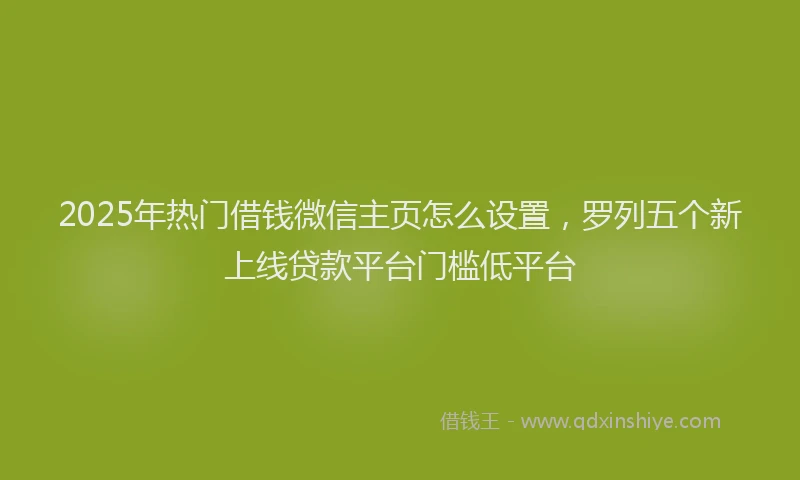 2025年热门借钱微信主页怎么设置，罗列五个新上线贷款平台门槛低平台