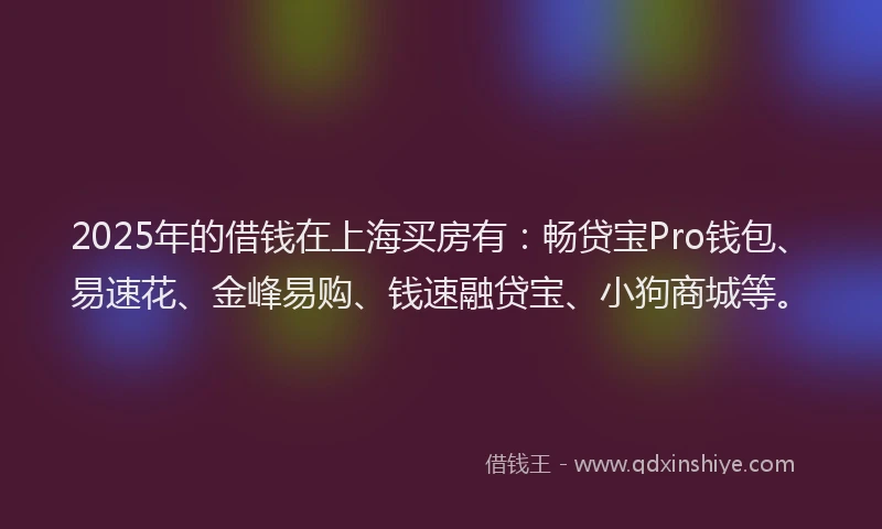 2025年的借钱在上海买房有：畅贷宝Pro钱包、易速花、金峰易购、钱速融贷宝、小狗商城等。
