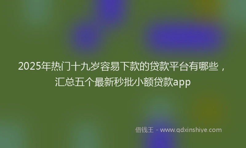2025年热门十九岁容易下款的贷款平台有哪些，汇总五个最新秒批小额贷款app
