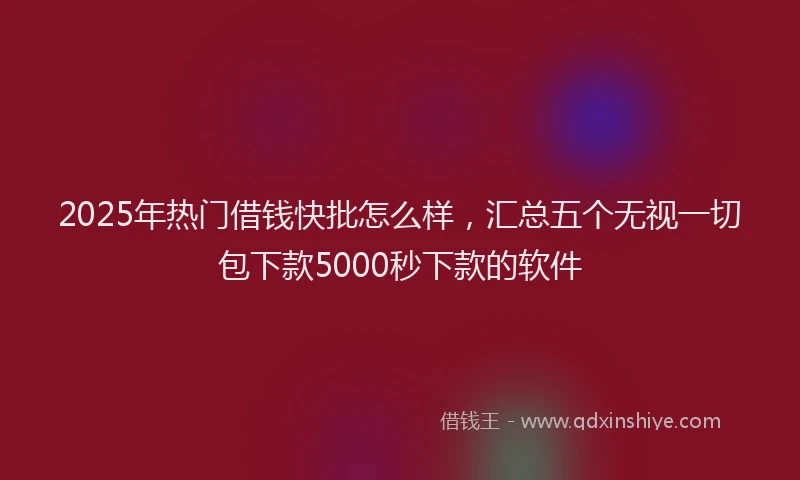 2025年热门借钱快批怎么样，汇总五个无视一切包下款5000秒下款的软件