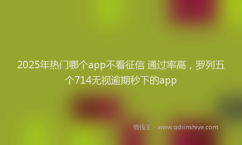 2025年热门哪个app不看征信 通过率高，罗列五个714无视逾期秒下的app