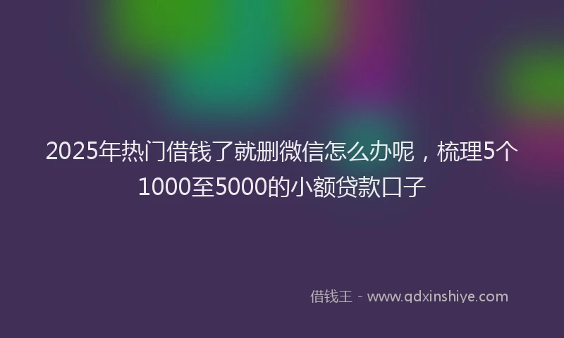 2025年热门借钱了就删微信怎么办呢，梳理5个1000至5000的小额贷款口子