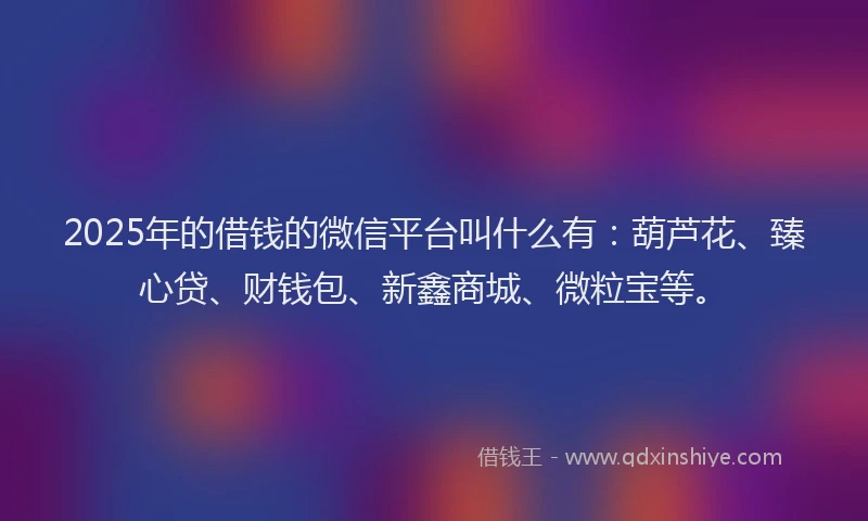 2025年的借钱的微信平台叫什么有：葫芦花、臻心贷、财钱包、新鑫商城、微粒宝等。