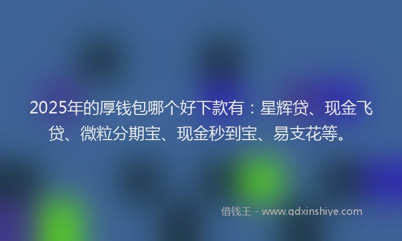2025年的厚钱包哪个好下款有：星辉贷、现金飞贷、微粒分期宝、现金秒到宝、易支花等。