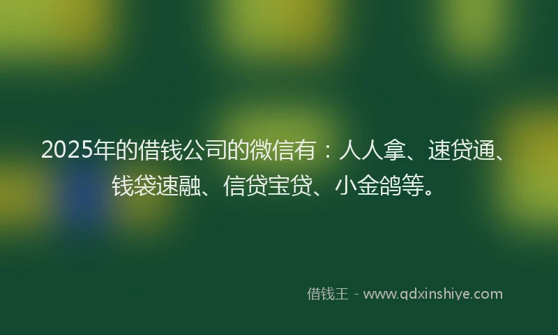 2025年的借钱公司的微信有：人人拿、速贷通、钱袋速融、信贷宝贷、小金鸽等。