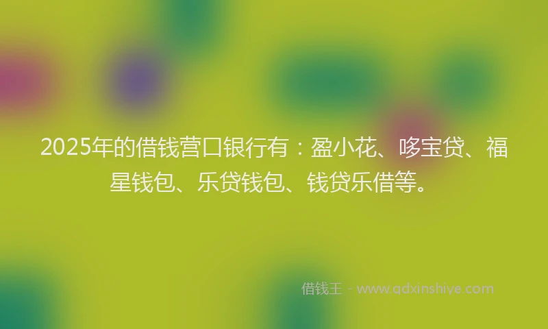 2025年的借钱营口银行有：盈小花、哆宝贷、福星钱包、乐贷钱包、钱贷乐借等。