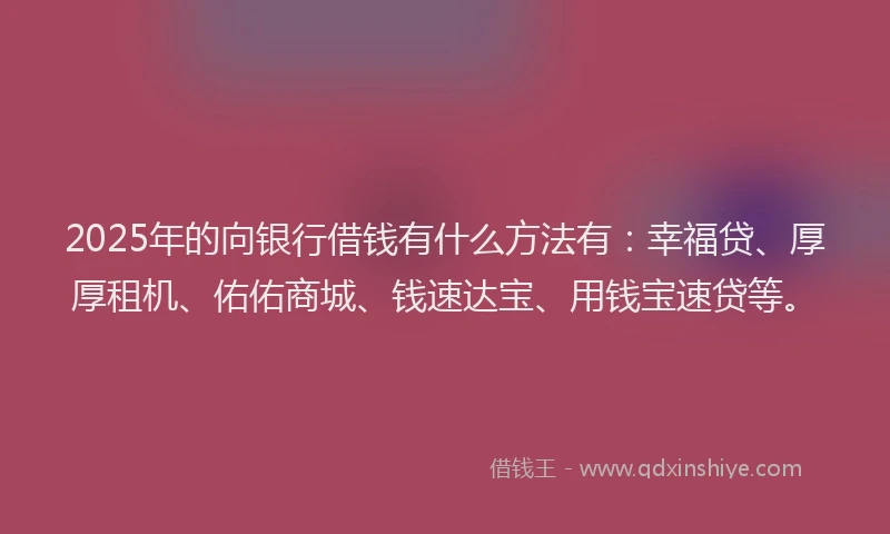 2025年的向银行借钱有什么方法有：幸福贷、厚厚租机、佑佑商城、钱速达宝、用钱宝速贷等。