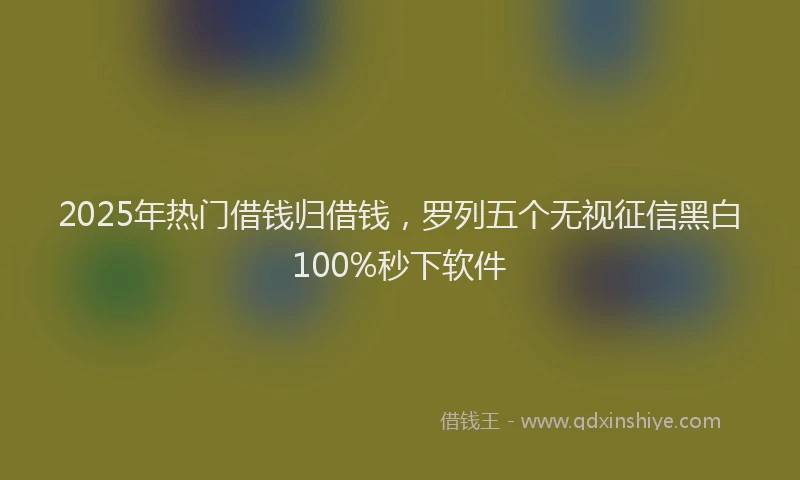 2025年热门借钱归借钱，罗列五个无视征信黑白100%秒下软件