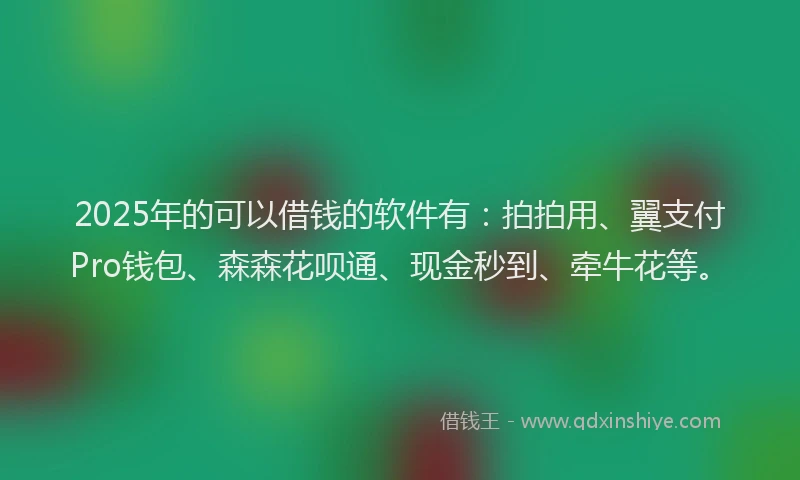 2025年的可以借钱的软件有：拍拍用、翼支付Pro钱包、森森花呗通、现金秒到、牵牛花等。