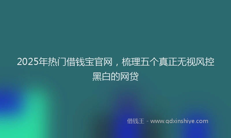 2025年热门借钱宝官网，梳理五个真正无视风控黑白的网贷