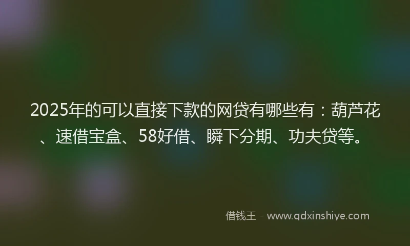 2025年的可以直接下款的网贷有哪些有：葫芦花、速借宝盒、58好借、瞬下分期、功夫贷等。