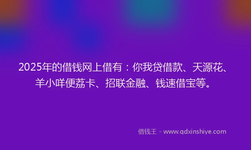 2025年的借钱网上借有：你我贷借款、天源花、羊小咩便荔卡、招联金融、钱速借宝等。