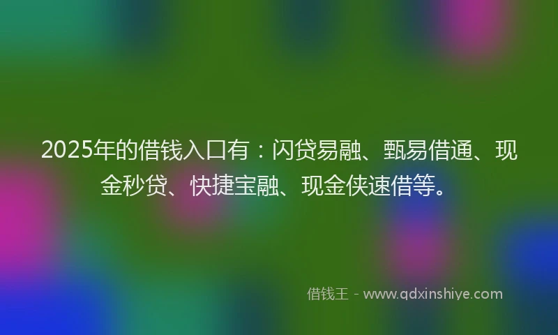2025年的借钱入口有：闪贷易融、甄易借通、现金秒贷、快捷宝融、现金侠速借等。