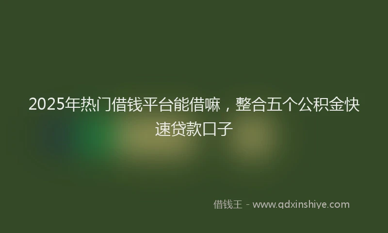 2025年热门借钱平台能借嘛，整合五个公积金快速贷款口子