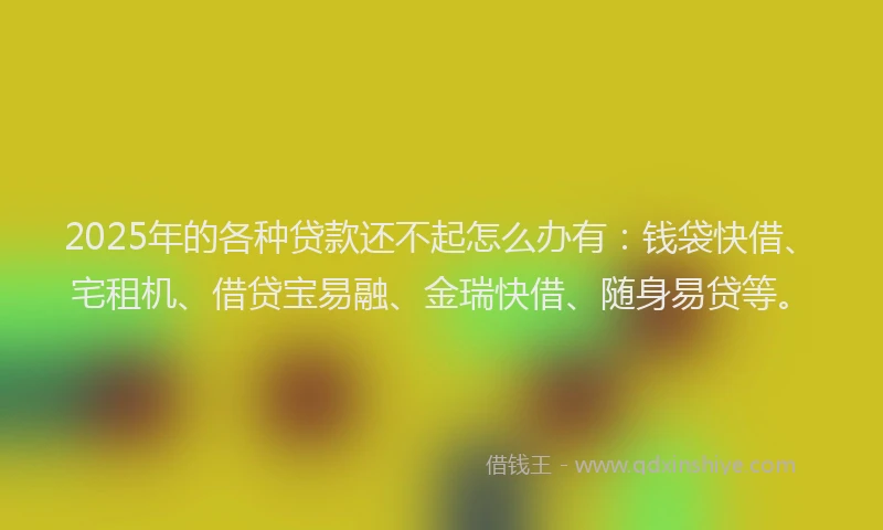 2025年的各种贷款还不起怎么办有：钱袋快借、宅租机、借贷宝易融、金瑞快借、随身易贷等。