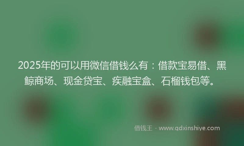 2025年的可以用微信借钱么有：借款宝易借、黑鲸商场、现金贷宝、疾融宝盒、石榴钱包等。