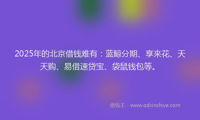 2025年的北京借钱难有：蓝鲸分期、享来花、天天购、易借速贷宝、袋鼠钱包等。