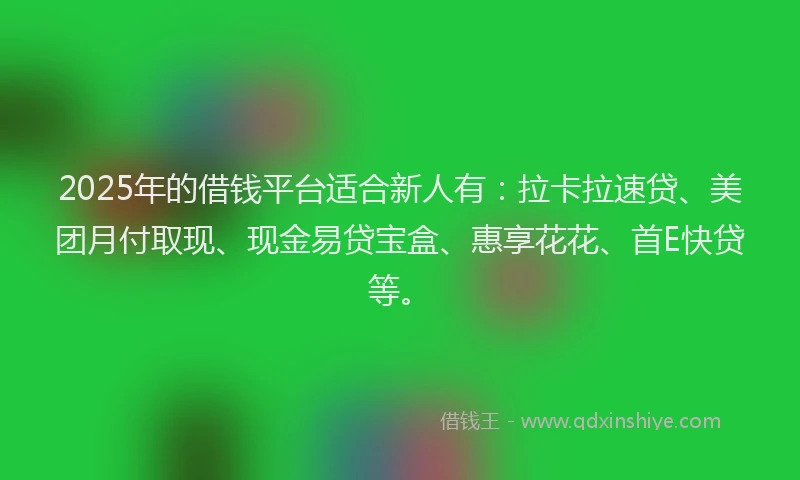 2025年的借钱平台适合新人有：拉卡拉速贷、美团月付取现、现金易贷宝盒、惠享花花、首E快贷等。