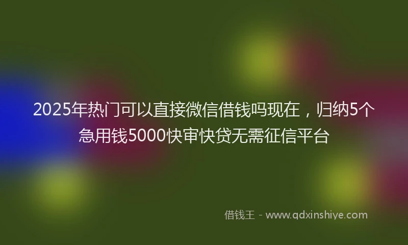 2025年热门可以直接微信借钱吗现在，归纳5个急用钱5000快审快贷无需征信平台