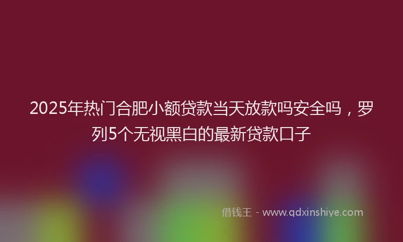 2025年热门合肥小额贷款当天放款吗安全吗，罗列5个无视黑白的最新贷款口子