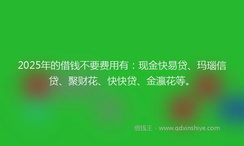 2025年的借钱不要费用有：现金快易贷、玛瑙信贷、聚财花、快快贷、金瀛花等。