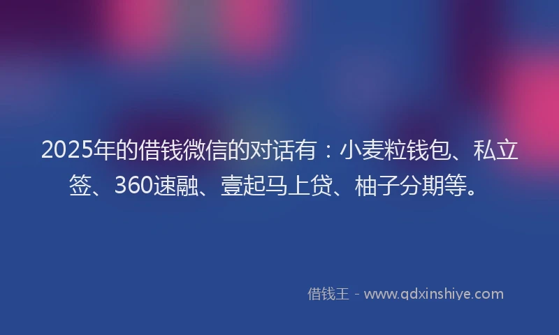 2025年的借钱微信的对话有：小麦粒钱包、私立签、360速融、壹起马上贷、柚子分期等。