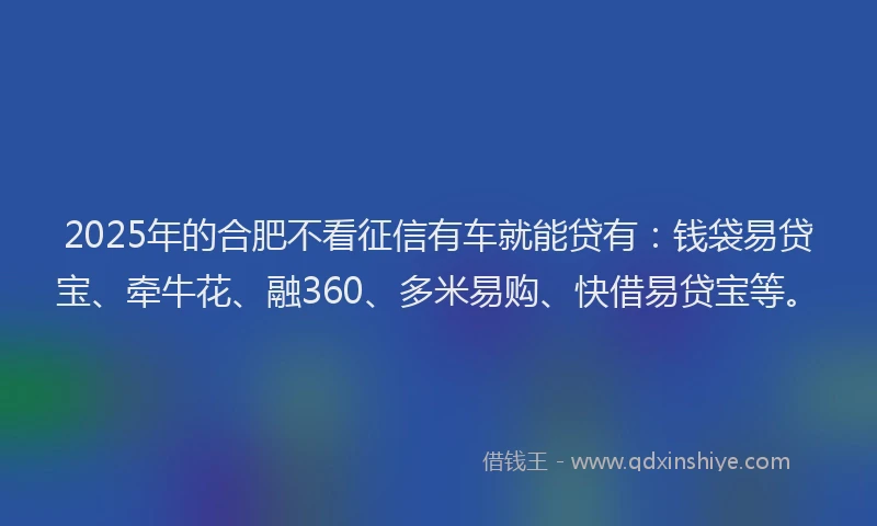 2025年的合肥不看征信有车就能贷有：钱袋易贷宝、牵牛花、融360、多米易购、快借易贷宝等。