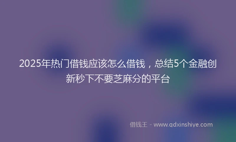 2025年热门借钱应该怎么借钱，总结5个金融创新秒下不要芝麻分的平台