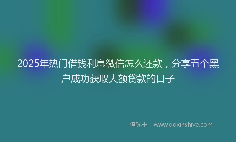 2025年热门借钱利息微信怎么还款，分享五个黑户成功获取大额贷款的口子