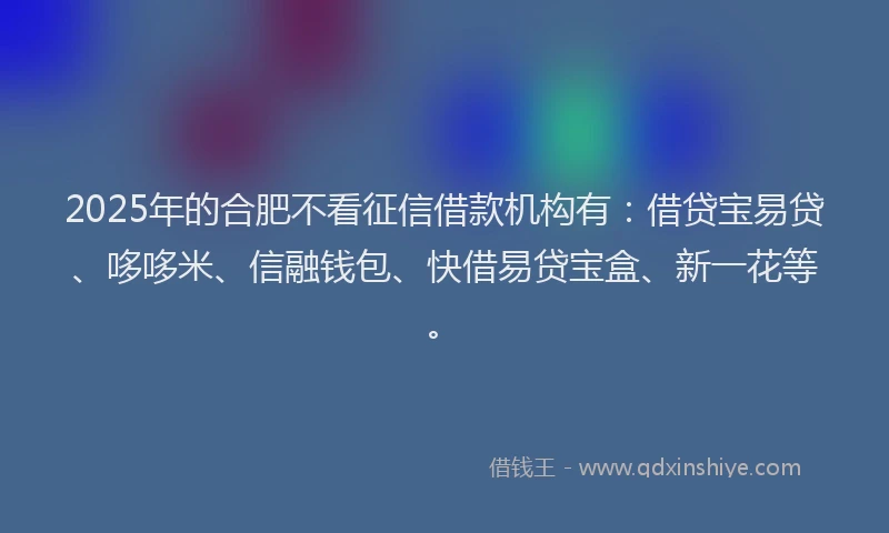 2025年的合肥不看征信借款机构有：借贷宝易贷、哆哆米、信融钱包、快借易贷宝盒、新一花等。