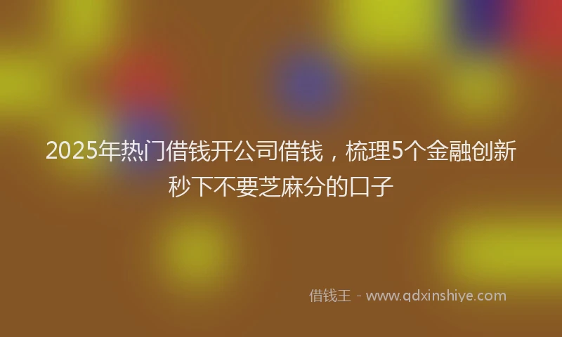 2025年热门借钱开公司借钱，梳理5个金融创新秒下不要芝麻分的口子