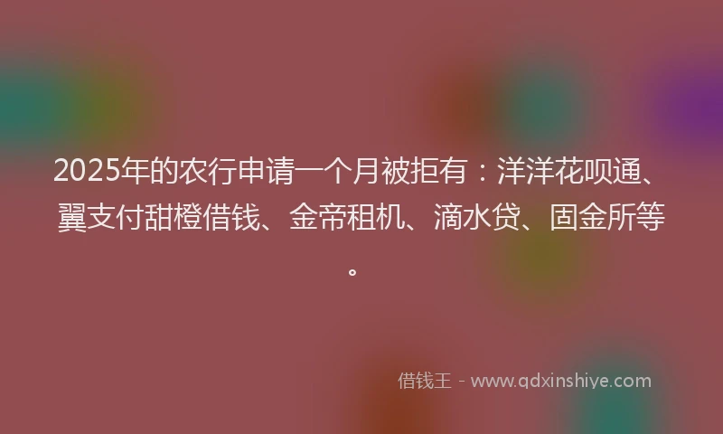 2025年的农行申请一个月被拒有：洋洋花呗通、翼支付甜橙借钱、金帝租机、滴水贷、固金所等。