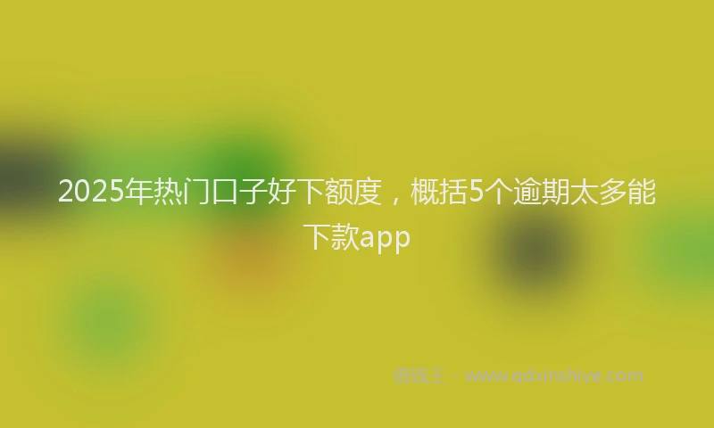 2025年热门口子好下额度，概括5个逾期太多能下款app
