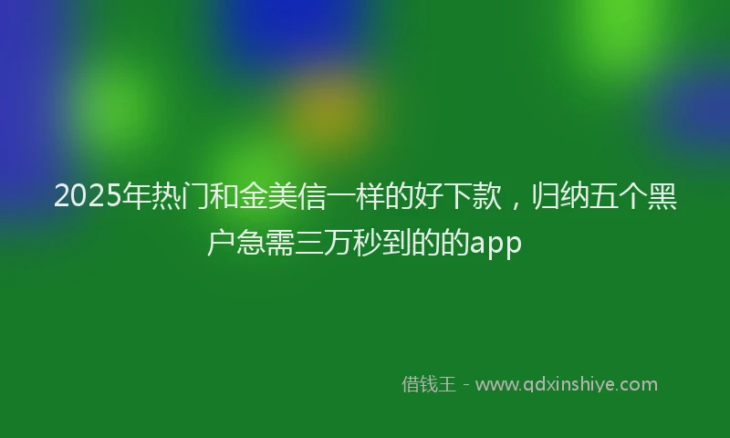 2025年热门和金美信一样的好下款，归纳五个黑户急需三万秒到的的app