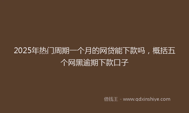 2025年热门周期一个月的网贷能下款吗，概括五个网黑逾期下款口子