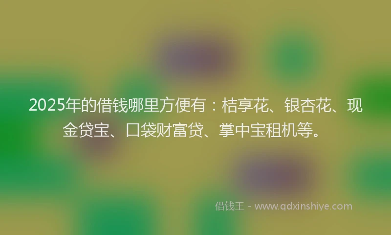 2025年的借钱哪里方便有：桔享花、银杏花、现金贷宝、口袋财富贷、掌中宝租机等。