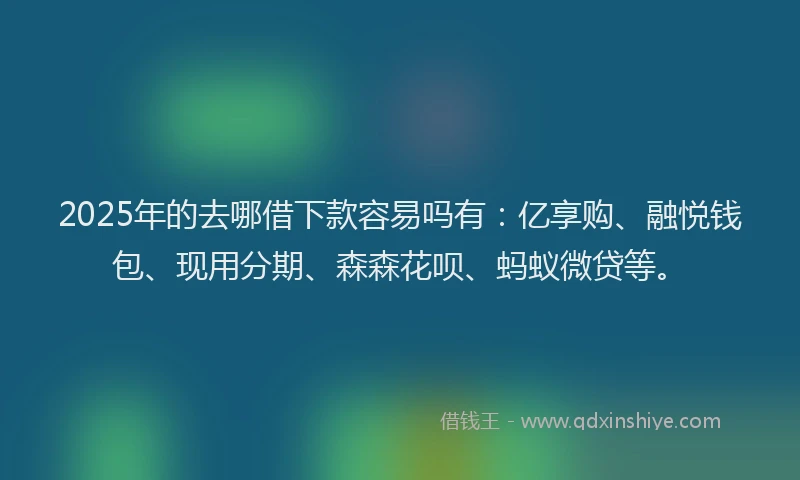 2025年的去哪借下款容易吗有：亿享购、融悦钱包、现用分期、森森花呗、蚂蚁微贷等。