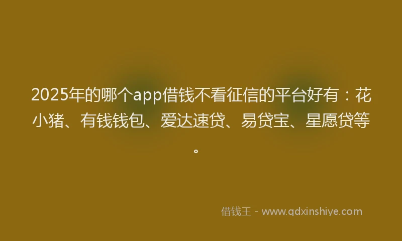 2025年的哪个app借钱不看征信的平台好有：花小猪、有钱钱包、爱达速贷、易贷宝、星愿贷等。