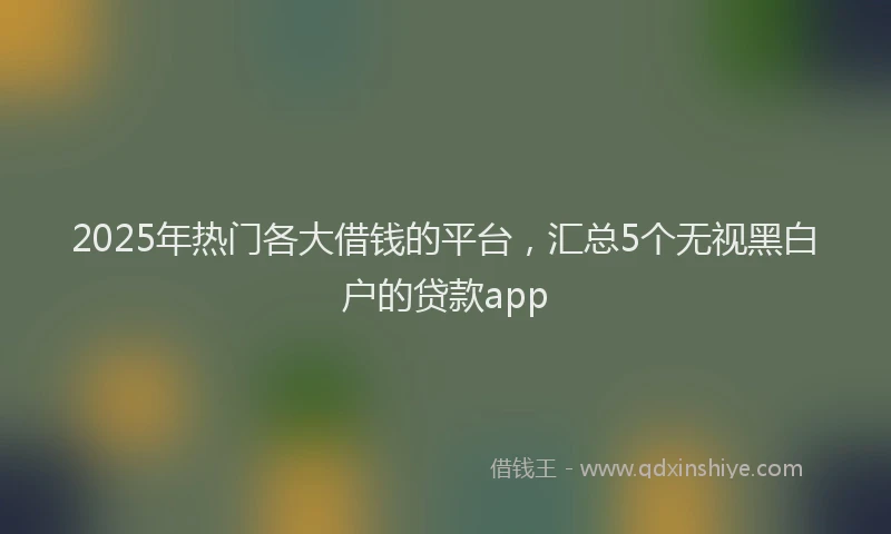 2025年热门各大借钱的平台，汇总5个无视黑白户的贷款app