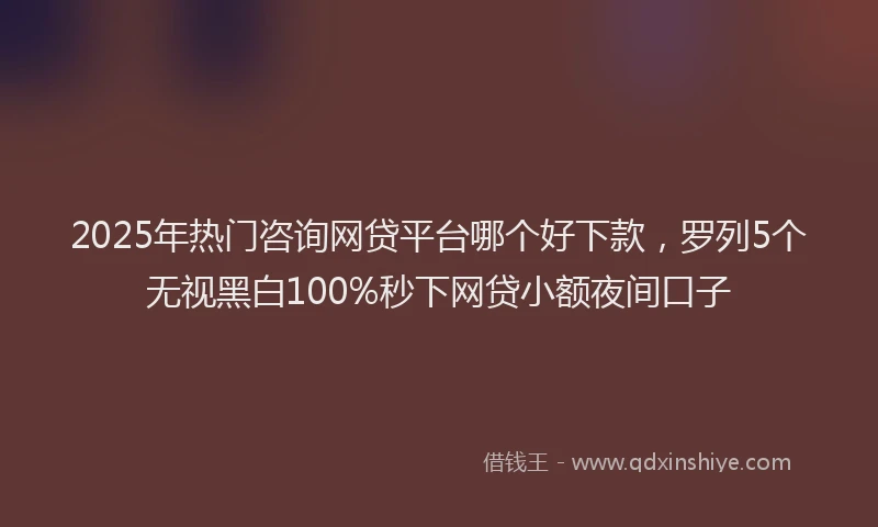 2025年热门咨询网贷平台哪个好下款，罗列5个无视黑白100%秒下网贷小额夜间口子