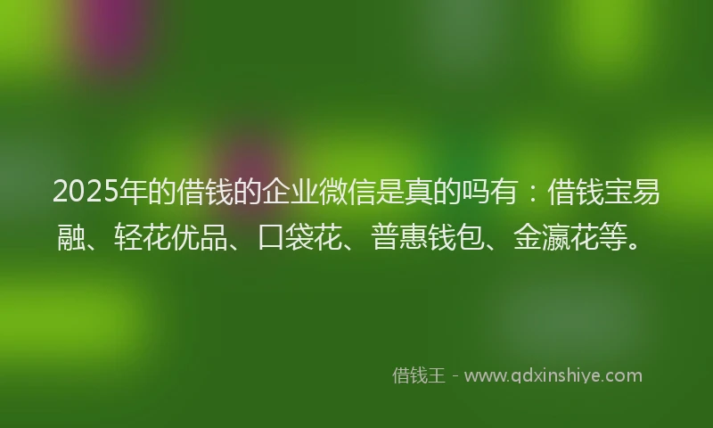 2025年的借钱的企业微信是真的吗有：借钱宝易融、轻花优品、口袋花、普惠钱包、金瀛花等。