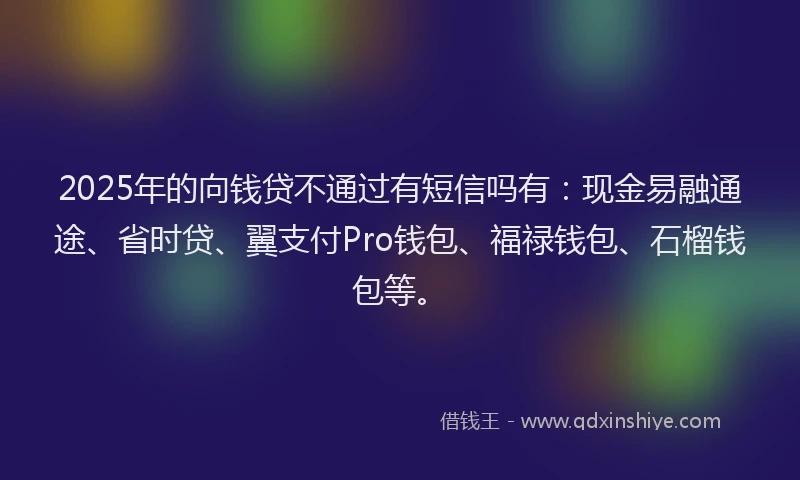 2025年的向钱贷不通过有短信吗有：现金易融通途、省时贷、翼支付Pro钱包、福禄钱包、石榴钱包等。
