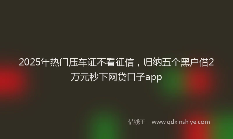 2025年热门压车证不看征信，归纳五个黑户借2万元秒下网贷口子app