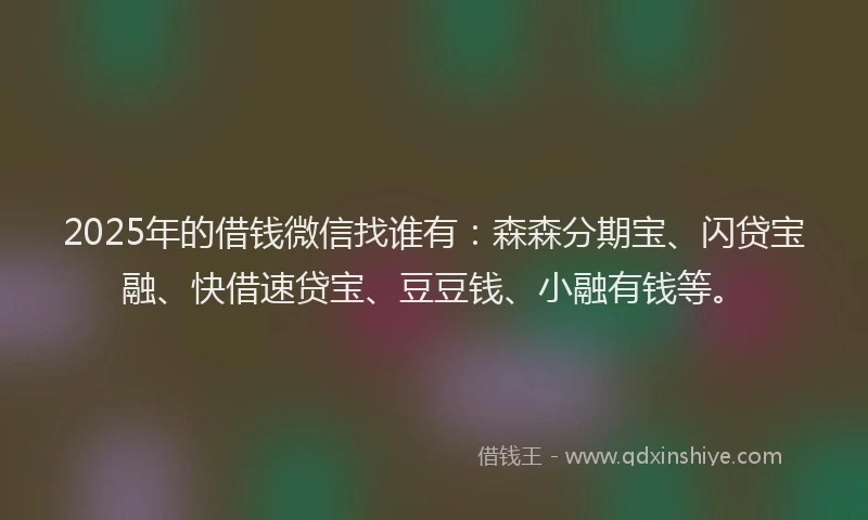 2025年的借钱微信找谁有：森森分期宝、闪贷宝融、快借速贷宝、豆豆钱、小融有钱等。